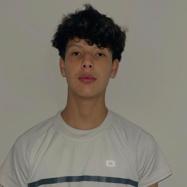 User Image