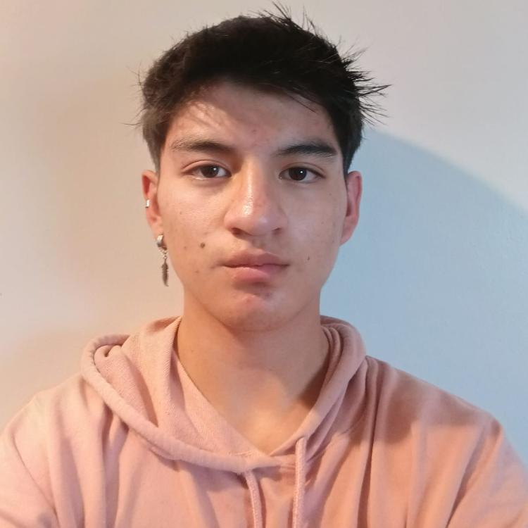 User Image