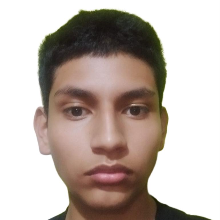 User Image