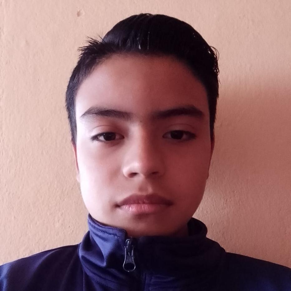 User Image