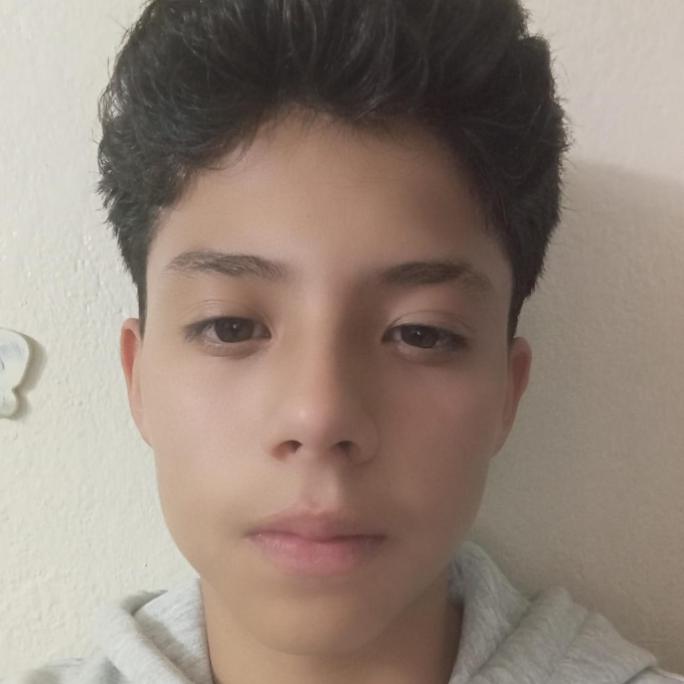 User Image