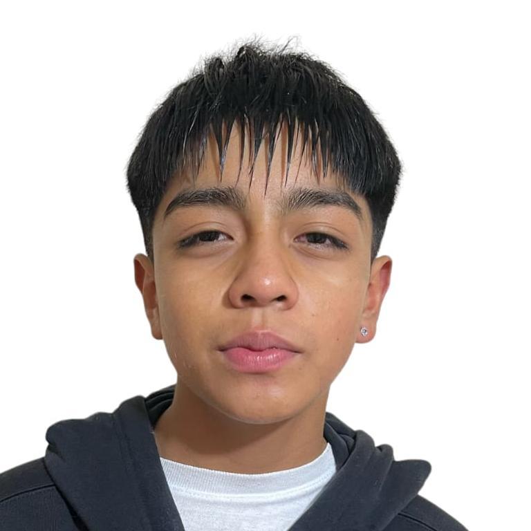 User Image